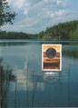 Finland - Lake view maxicard