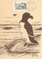 Finland - Birds maxi card Razorbill