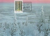 Finland - Forest maxicard
