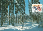 Finland - Skiing maxi card 28075