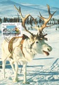 Finland - Domestic travel maxi card Lapland 28130