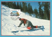 Finland - Domestic tourism maxi card skiing large size