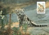 Finland 1989 - Maxicard Helsinki Zoo, cent. - Snow leopard