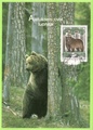 Finland - Bear Maxicard