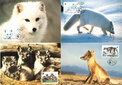 Finland 2022 - Maxicards Arctic foxes 1/4 WWF (4)