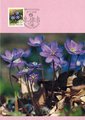 Finland 1992 - Maxicard Provincial Flowers - Anemone hepatica