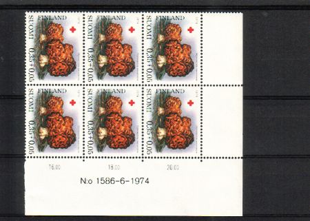 Finland 1974 - N:o block of six 1586-6-1974 Red Cross 1974 - Mushrooms 1/3 Morel, normal x paper