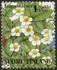 Suomi 1994 - Ketokukkia 6/10 - Ahomansikka Suomi 1994 - Ketokukkia 6/10 - Ahomansikka
