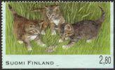 Suomi 1995 - Kissoja 6/6 - Maalaiskissan poikaset Suomi 1995 - Kissoja 6/6 - Maalaiskissan poikaset