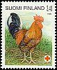 Suomi 1996 - Punainen Risti 1996 3/3 - 3,40+0,70 mk Maatiaiskukko Suomi 1996 - Punainen Risti 1996 3/3 - 3,40+0,70 mk Maatiaiskukko
