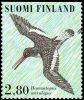 Finland 1996 - Shore Birds 2/5 - Eurasian Oystercatcher