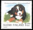 Suomi 1998 - Koiranpentuja 1/8 - Berninpaimenkoira Suomi 1998 - Koiranpentuja 1/8 - Berninpaimenkoira