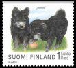 Suomi 1998 - Koiranpentuja 2/8 - Pumi Suomi 1998 - Koiranpentuja 2/8 - Pumi