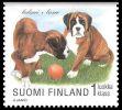 Suomi 1998 - Koiranpentuja 3/8 - Bokseri Suomi 1998 - Koiranpentuja 3/8 - Bokseri