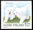 Suomi 1998 - Koiranpentuja 4/8 - Bichon Frisé