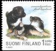 Suomi 1998 - Koiranpentuja 5/8 - Suomenlapinkoira Suomi 1998 - Koiranpentuja 5/8 - Suomenlapinkoira