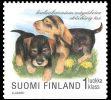 Suomi 1998 - Koiranpentuja 6/8 - Karkeakarvainen mäyräkoira Suomi 1998 - Koiranpentuja 6/8 - Karkeakarvainen mäyräkoira