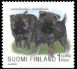 Suomi 1998 - Koiranpentuja 7/8 - Cairnterrieri Suomi 1998 - Koiranpentuja 7/8 - Cairnterrieri