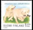 Suomi 1998 - Koiranpentuja 8/8 - Labradorinnoutaja Suomi 1998 - Koiranpentuja 8/8 - Labradorinnoutaja