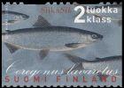 Finland 2000 - Common Whitefish