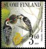 Finland 2001 - Woodpeckers 1/6 - Lesser Spotted Woodpecker