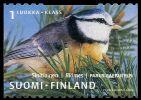 Finland 2001 - Blue Tit