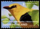 Finland 2001 - Golden Oriole