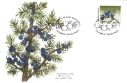 Suomi 2002 - Kataja FDC Suomi 2002 - Kataja FDC