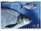 Finland 2003 - Carp bream