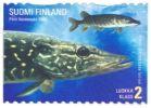 Finland 2003 - Northern pike