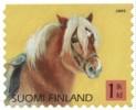 Suomi 2005 - Poneja 1/4 - Islanninhevonen Suomi 2005 - Poneja 1/4 - Islanninhevonen