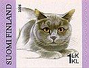 Finland 2006 - Cats 2/4 - British Shorthair