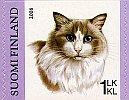 Suomi 2006 - Kissoja 3/4 - Ragdoll Suomi 2006 - Kissoja 3/4 - Ragdoll
