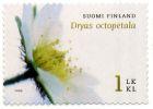 Suomi 2006 - Lapinvuokko Suomi 2006 - Lapinvuokko