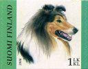 Finland 2008 - Dogs 2/6 - Collie Finland 2008 - Dogs 2/6 - Collie