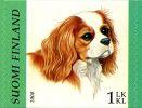 Finland 2008 - Dogs 5/6 - Cavalier-King-Charles-Spaniel Finland 2008 - Dogs 5/6 - Cavalier-King-Charles-Spaniel