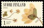 Suomi 2012 - Kevät kukkii 1/6 - Sinivuokko Suomi 2012 - Kevät kukkii 1/6 - Sinivuokko