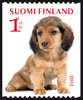 Finland 2012 - Pets stamp 4/6 - Dachshund