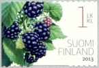 Suomi 2013 - Puutarhamarjoja 1/3 - mustaherukka Suomi 2013 - Puutarhamarjoja 1/3 - mustaherukka