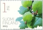 Suomi 2013 - Puutarhamarjoja 2/3 - karviaismarja Suomi 2013 - Puutarhamarjoja 2/3 - karviaismarja
