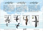 Finland 2017 - Arktika Migratory birds miniature sheet