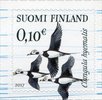 Finland 2017 - Arktika - 0,10 Long-tailed duck (Clangula hyemalis)