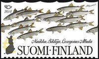 Suomi 2018 - Kaloja 2/2 - Muikku Suomi 2018 - Kaloja 2/2 - Muikku