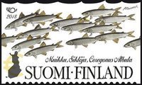 Finland 2018 - Fishes 2/2 - European cisco