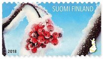 Suomi 2018 - Jäämarjat