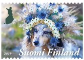 Suomi 2019 - Floraalista taidetta 1/3 - koira Suomi 2019 - Floraalista taidetta 1/3 - koira