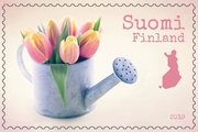 Suomi 2019 - Kerro kukkasin 4/6 - Tulppaanit kastelukannussa Suomi 2019 - Kerro kukkasin 4/6 - Tulppaanit kastelukannussa