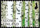 Finland 2019 - Finlands nature signs II 3/5 - Birch forest Finland 2019 - Finlands nature signs II 3/5 - Birch forest