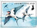 Suomi 2020 - Kevätlorulinnut 2/4 - haarapääskyt Suomi 2020 - Kevätlorulinnut 2/4 - haarapääskyt