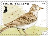 Suomi 2020 - Kevätlorulinnut 3/4 - kiuru Suomi 2020 - Kevätlorulinnut 3/4 - kiuru